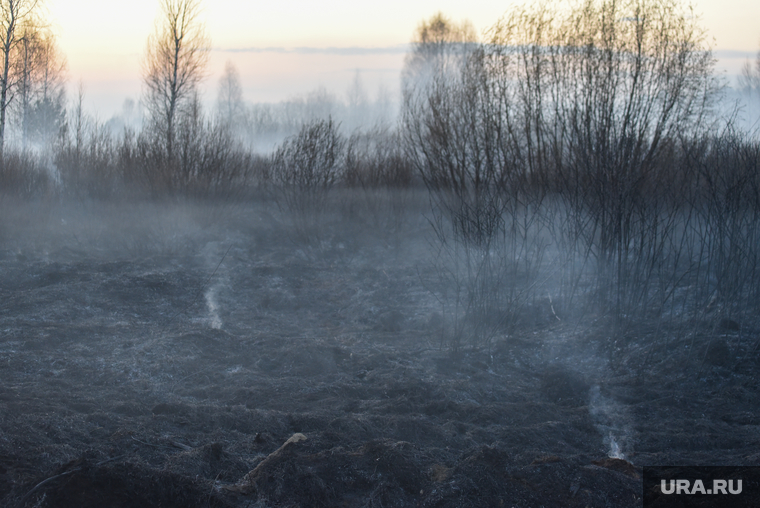 Последствия пожара в поле близ коттеджного поселка Совушки. Екатеринбург
, дым, задымление, смог, последствия пожара, пожар в поле, лес в дыму, совушки