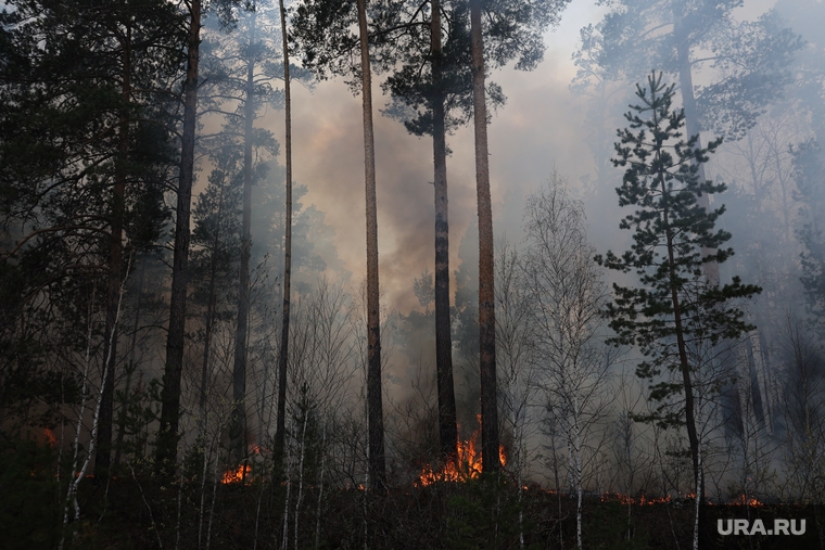 Крупные возгорания произошли под Курганом: в дачном поселке Малиновка, около шоссе Тюнина, недалеко от Изумрудного поселка