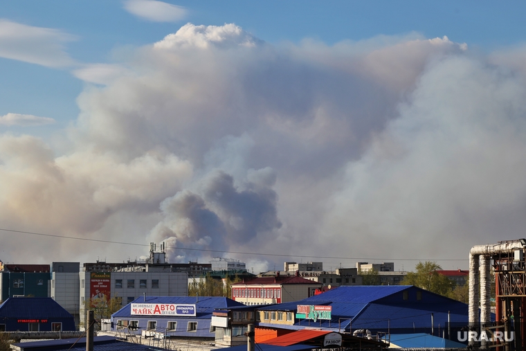 Курганцы задыхаются от дыма, приносимого со стороны пожаров