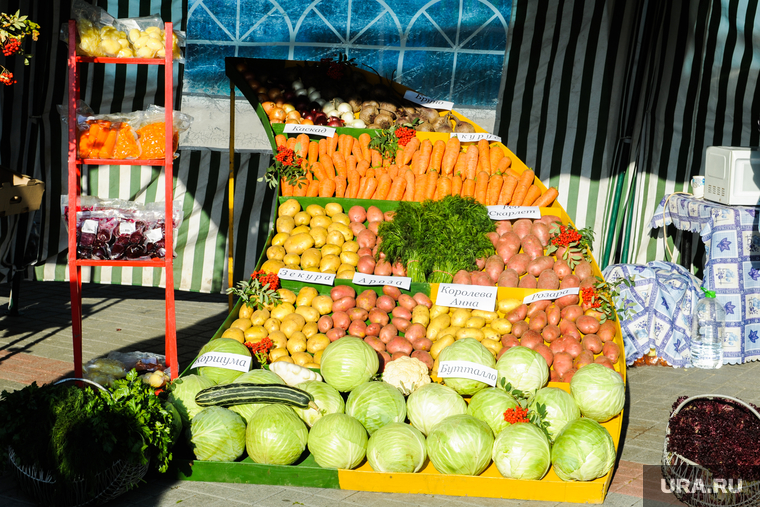 Областная агропромышленная выставка «АГРО-2019». Продукты питания. Челябинск, капуста, овощи, продукты, картошка, еда, потребительская корзина