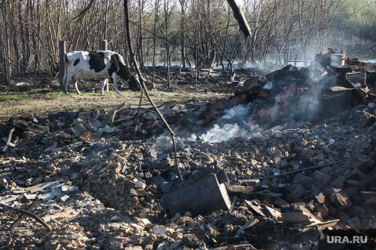 Огонь также уничтожил хозяйственные постройки и загоны для домашних животных