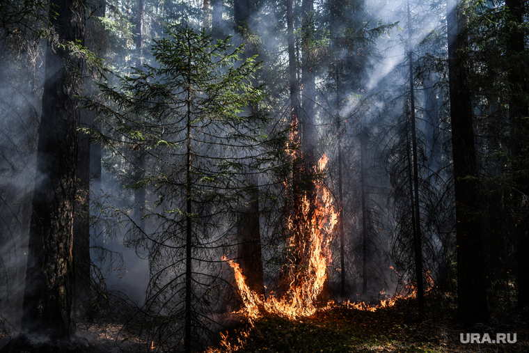 Лесной пожар на озере Глухое. Свердловская область, пожар, первоуральский городской округ, огонь, лес горит, лесной пожар, пожар в лесу, пожар у озера глухое
