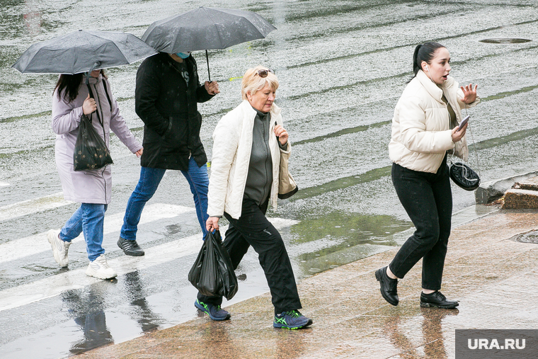 Дождливый день. Тюмень, пешеходный переход, непогода, прохожие, пешеходы, люди с зонтами, дождь, человек с зонтом