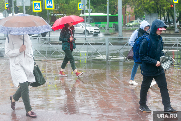 Дождливая погода. Тюмень, непогода, прохожие, пешеходы, люди с зонтами, дождливая погода, пасмурная погода, дождь, человек с зонтом, прохожие весной