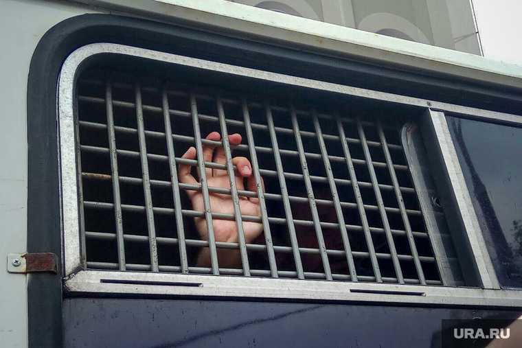 Марш в поддержку Ивана Голунова. Москва, автозак, рука, решетка, задержание