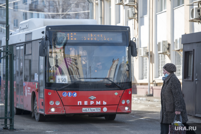 Работа общественного транспорта, Пермь, автобус, общественный транспорт