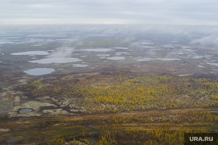 Природа Ямало-Ненецкого автономного округа, север, тундра, арктика, ямал, природа ямала, озера, вид сверху, осень, с квадрокоптера