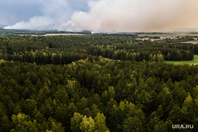 Горящий лес возле горы Волчиха. Свердловская область , первоуральский городской округ, лесной пожар, пожар на волчихе