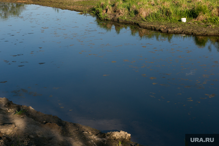 Водоём в Решетникова, где утонили дети. Тюмень , карьер, берег, водоем, берег водоема
