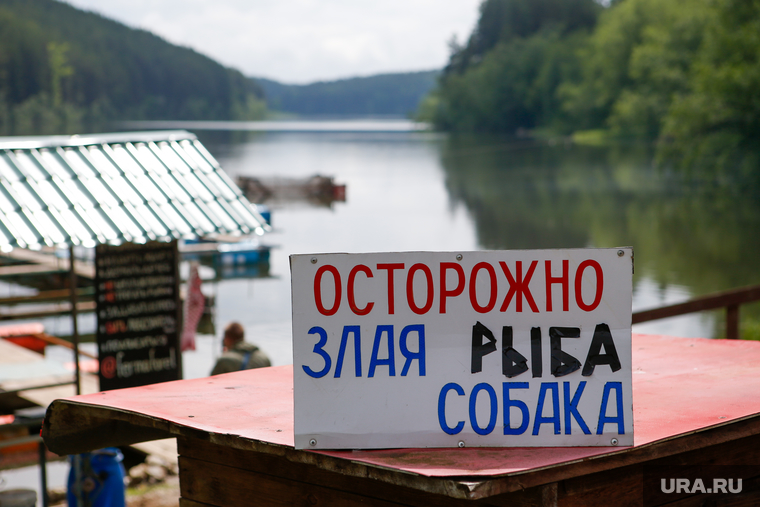 Форелевая ферма на реке Куба. Свердловская область, Михайловск, форелевое хозяйство, злая рыба