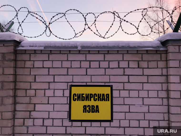 Граница несанкционированной свалки и скотомогильник с сибирской язвой. Свердловская область, поселок Рудный, колючая проволока, сибирская язва, скотомогильник
