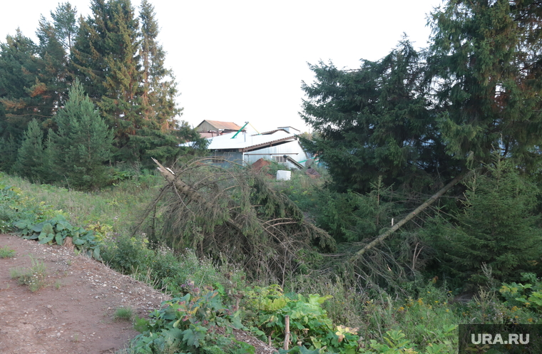Последствия штормового ветра в поселке Нердва Карагайского района Пермского края, дерево упало
