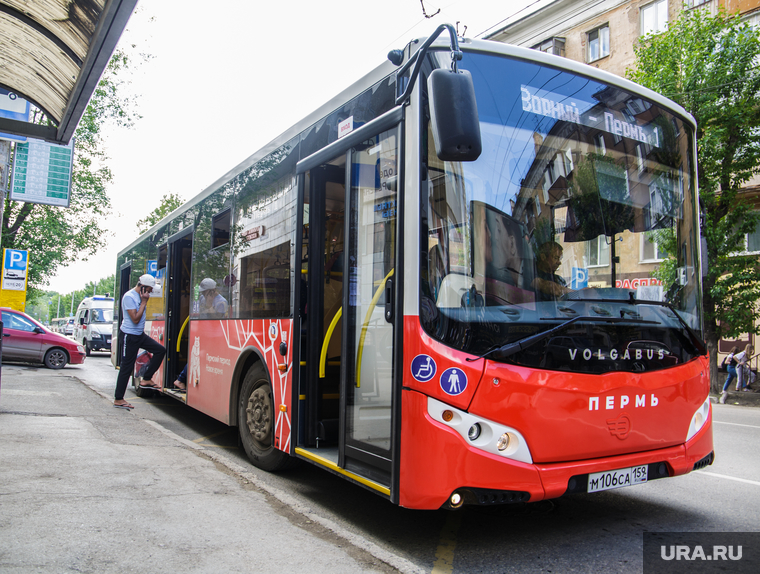 Новые автобусы. Пермь, остановка, автобус