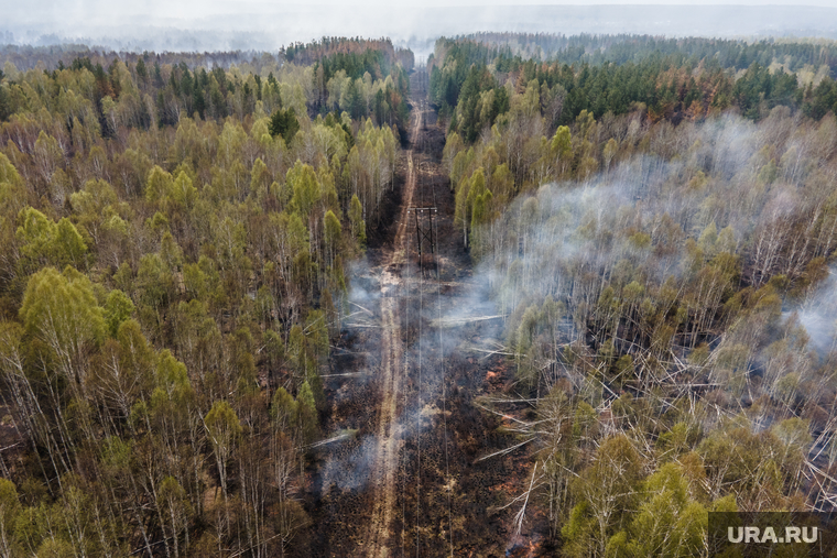 Тушение торфяного пожара возле поселка Безречный. Свердловская область, Березовский, лес, лесной пожар, лесной массив, лес в дыму, торфяники горят, торфяной пожар