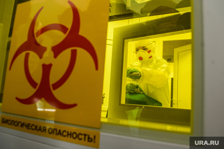 Лаборатория Роспотребнадзора Свердловской области. Екатеринбург, заражение, прием анализов, эпидемия, биологическая опасность, экспертиза, вирус, проверка на вирусы, covid