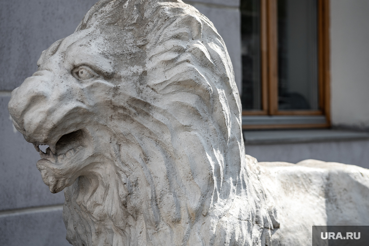 Скульптуры львов, находящиеся на реставрации. Екатеринбург, лев, скульптура, реставрация, ремонт, оперный театр, львы, морда льва