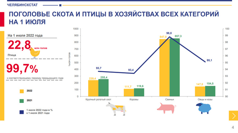 Сайт статистика челябинской области