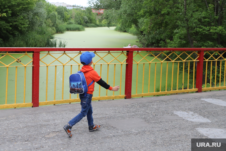 Министр природных ресурсов  Дмитрий Кобылкин осматривает набережную Тобола. Курган, ребенок, мост, река битевка, цпкио курган