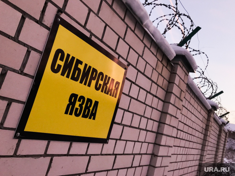 Граница несанкционированной свалки и скотомогильник с сибирской язвой. Свердловская область, поселок Рудный, сибирская язва, скотомогильник