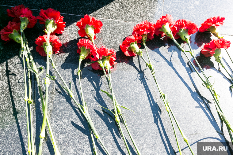 65 лет ТВВИКУ. Тюмень, могила, гвоздики, цветы на могиле, мемориал, цветы на кладбище
