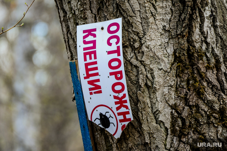 Акарицидная (от клещей) обработка территории Успенского кладбища. Челябинск, клещи, осторожно клещи