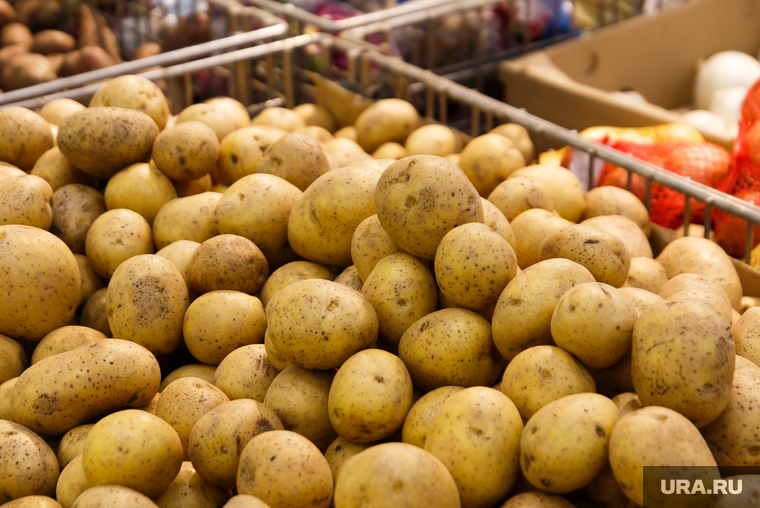 ТЦ «Лента». Магнитогорск, овощи, продукты, картофель, урожай, еда