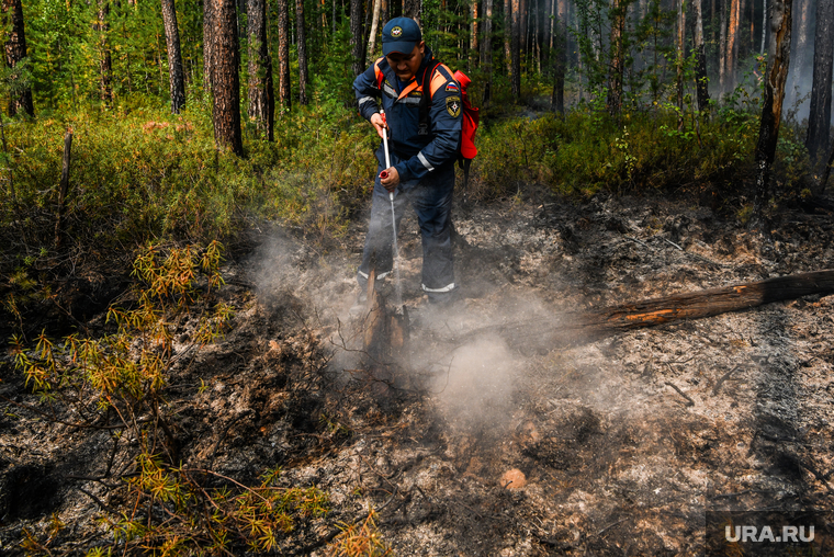 Тушение пожара в лесу на озере Глухое. Екатеринбург, мчс, лесной пожар, тушение лесных пожаров