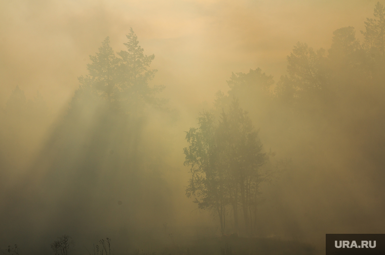 Верховые пожары в поселках Джабык и Запасное. Челябинская область, дым, лесной пожар