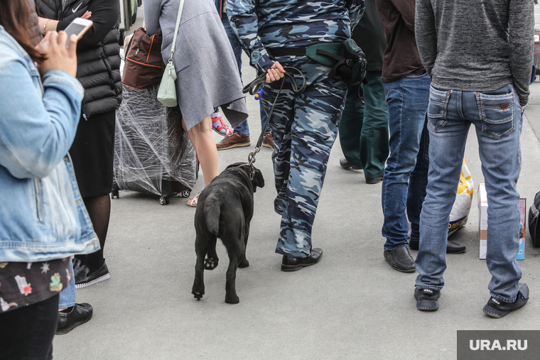 Эвакуация аэропорта Рощино. Тюмень, служебная собака, кинологическая служба
