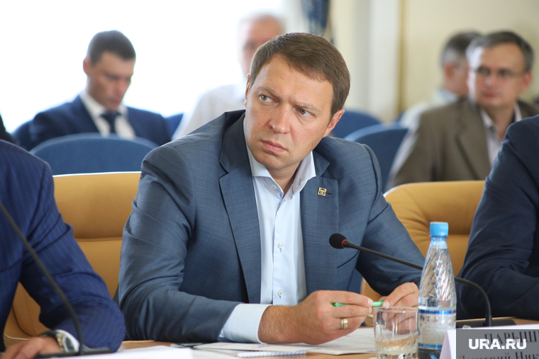 Национальные проекты 2018-2024. Курган, парышев дмитрий, портрет, внимательность