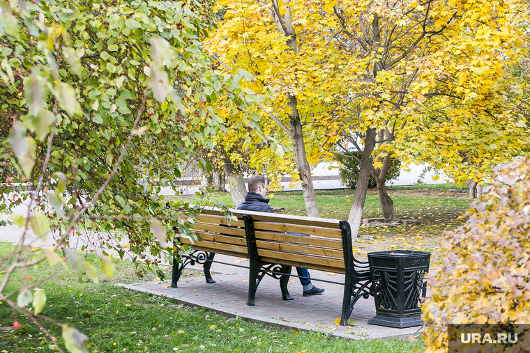 Осенний город. Тюмень, погода, парк, лавочка, листья, желтые листья, желтые деревья, осенний лес, осень, осенние листья
