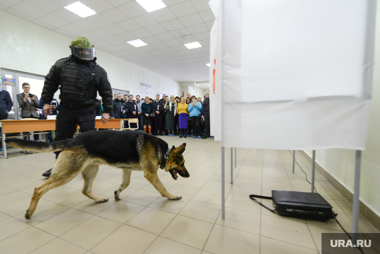 Выборы 2018. Тренировка по отработке действий при возникновении чрезвычайных ситуаций в день голосования. Выборы президента РФ 2018. Челябинск, собака, терроризм, кинолог, минирование, антитеррор, подозрительный предмет, омон