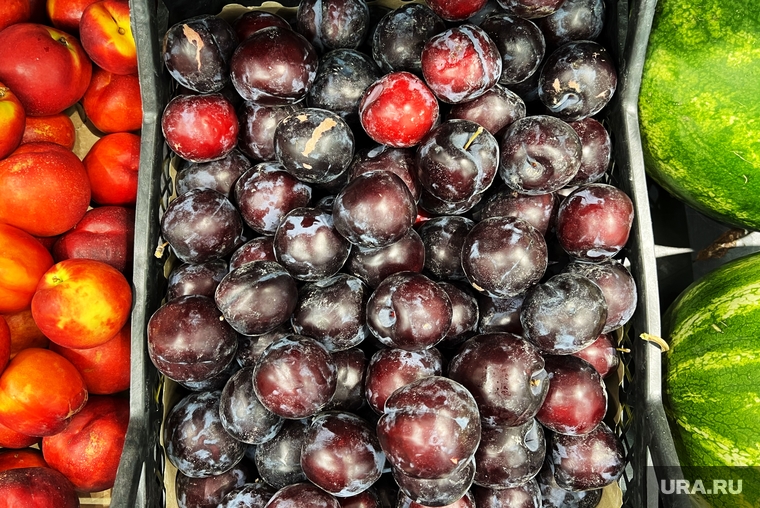 Сливы. Курган, сливы, слива