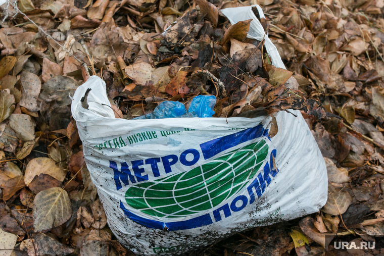Разное. Курганская область, листья, пакет из метрополиса, пакет с мусором