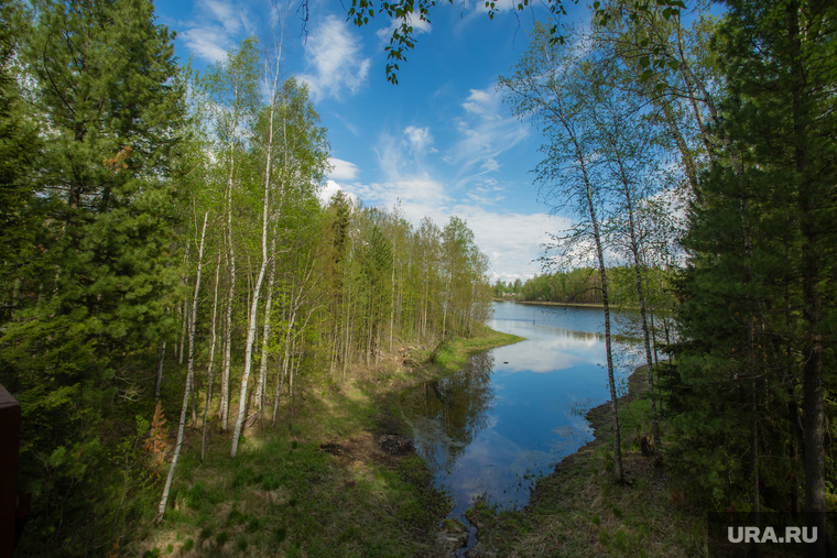 Виды ПГТ Пойковский, лес, речка, природа