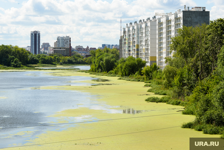 Ленинградский мост по улице Труда. Челябинск, жилье, недвижимость, новостройки, река миасс , лето в городе