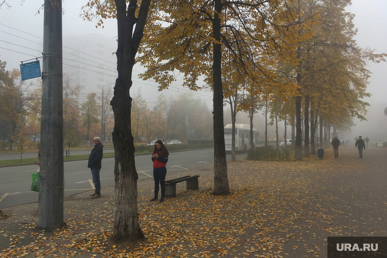 Туман в городе. Челябинск, городской пейзаж, проспект ленина, климат, осень, туман