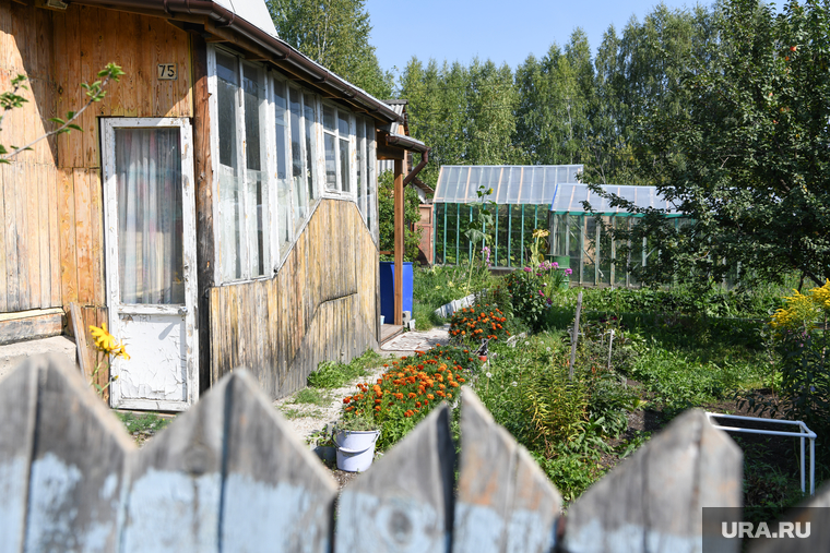 Алексей Орлов в СНТ Березка. Екатеринбург, огород, дача, загородный дом, сад