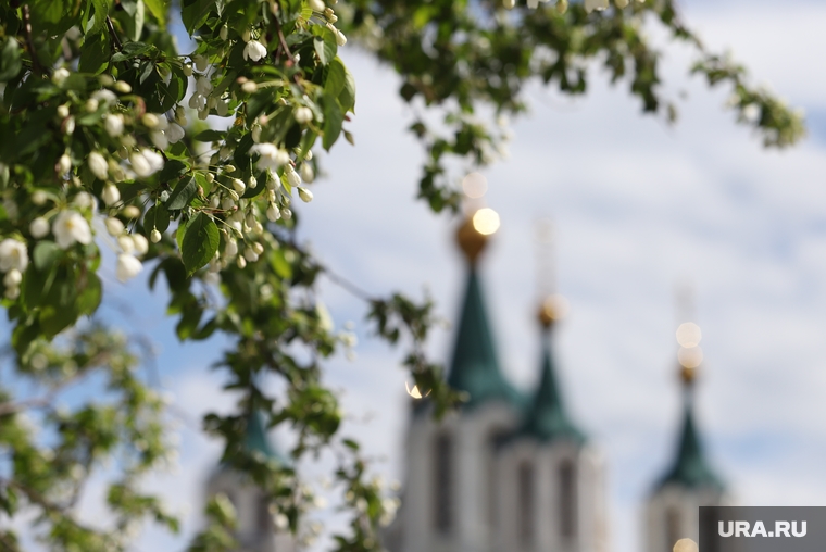 Себянина Александра. Далматово. Курган
, лето, рпц, май