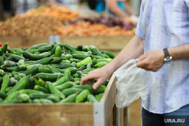 Торговая сеть «Метрополис». Курган, продукты, огурцы, корзина с продуктами, магазин, питание