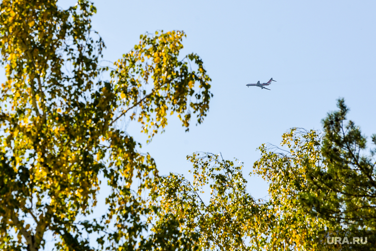 Золотая осень. Челябинск, деревья, листья, бабье лето, золотая осень, самолет