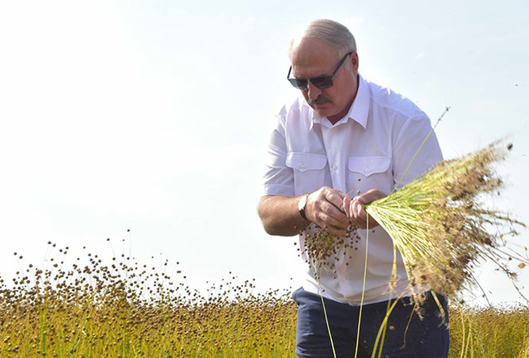 Лукашенко, stock, урожай, лукашенко александр, сток, stock