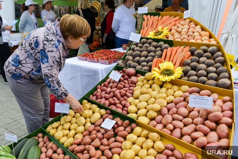 Алексей Текслер  на открытии XXIX ежегодной областной агропромышленной выставки «АГРО-2022». Челябинск , овощи, пенсионер, картофель, урожай, картошка, женщина, еда, корнеплоды, продовольственная безопасность, агро2022