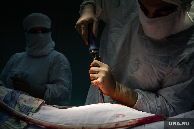 Операция на позвоночнике в Сургутской клинической травматологической больнице. Сургут, операция, медицина, руки хирурга