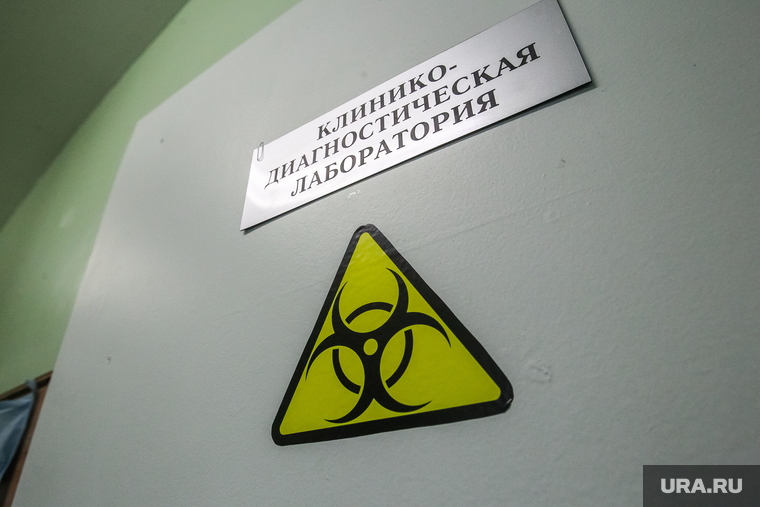 Менингит. Тюменская областная клиническая инфекционная больница. Тюмень, клинико диагностическая лаборатория