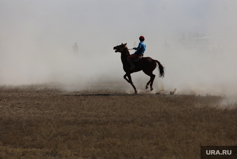 Козлодрание. Борьба. Бишкек, кони, наездник, киргизия, козлодрание, бишкек