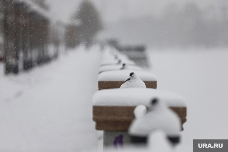 Первоапрельский снегопад. Екатеринбург, снег, зима, непогода, снегопад, осадки