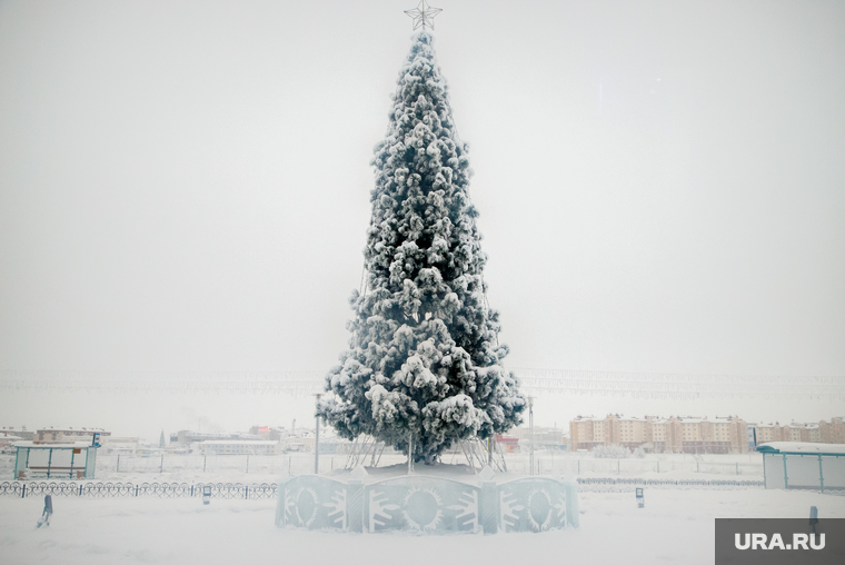 Виды Салехарда, снег, зима, новогодняя елка, иней, мороз
