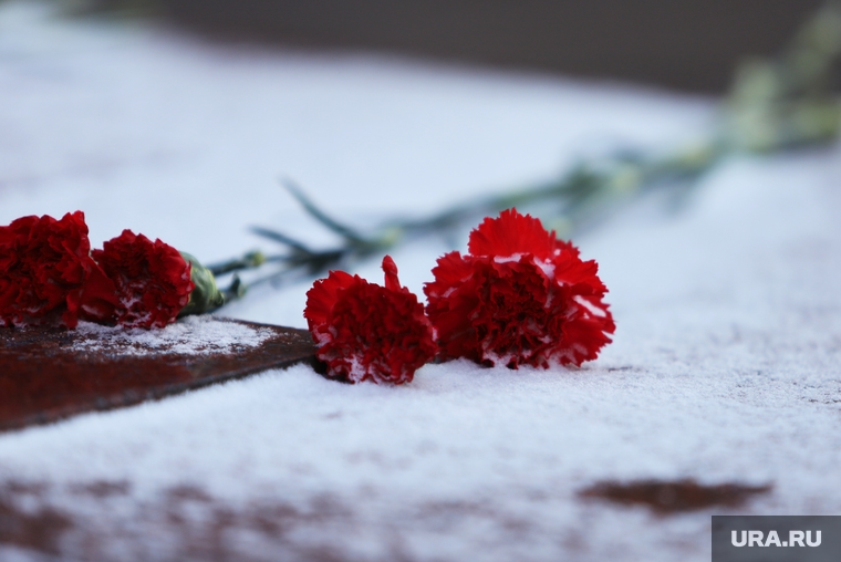 Акция «Защитим память героев» в честь 23 февраля. Курган, снег, поминки, гвоздики, возложение цветов, похороны