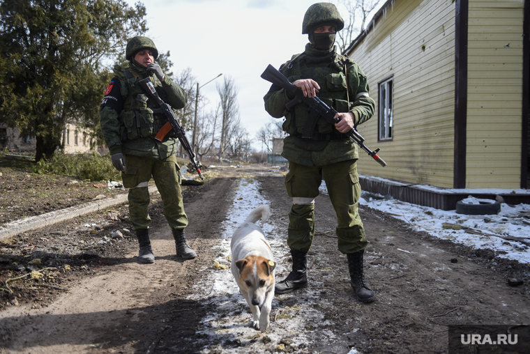 Волноваха после освобождения. ДНР, Волноваха, собака, военные, днр, патруль, ополченец, военная комендатура, патрулирование, зачистка, солдат, народная милиция, армия днр, солдат с автоматом